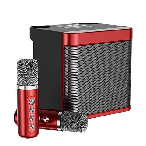 Rechargeable Dual Wireless Mic Karaoke Speaker