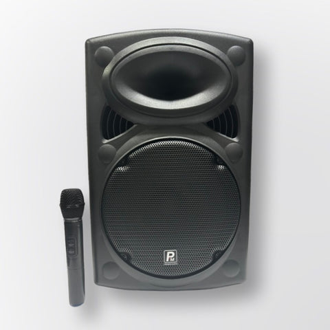 Pro Max 10" Speaker with Wireless Mic