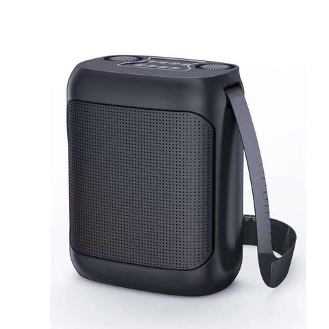 Rechargeable Dual Mic Karaoke Speaker with Strap